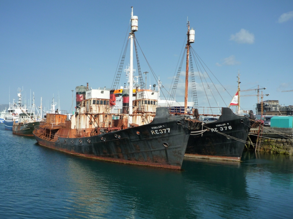 2 old examples of the Icelandic whaling fleet